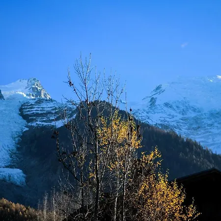 Chalet Songenaz - Les Bossons 샤모니